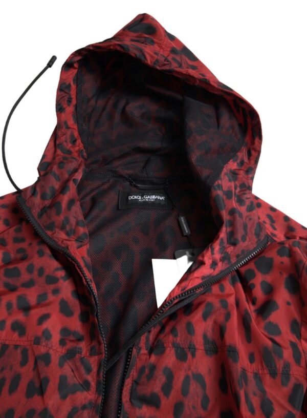 Dolce & Gabbana Red Leopard Hooded Bomber Jacket - Image 2