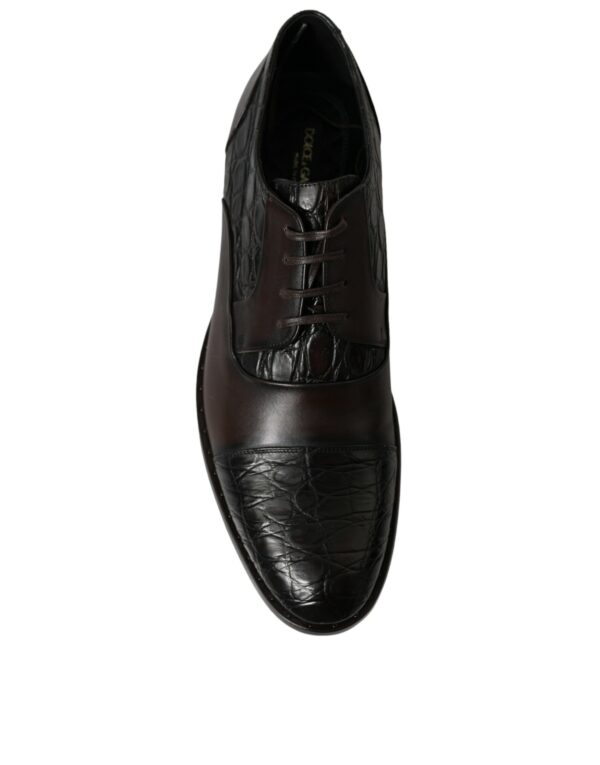 Dolce & Gabbana Elegant Brown Formal Derby Dress Shoes - Image 7
