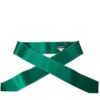 Dolce & Gabbana Green Silk Satin Waist Women Belt - Image 4