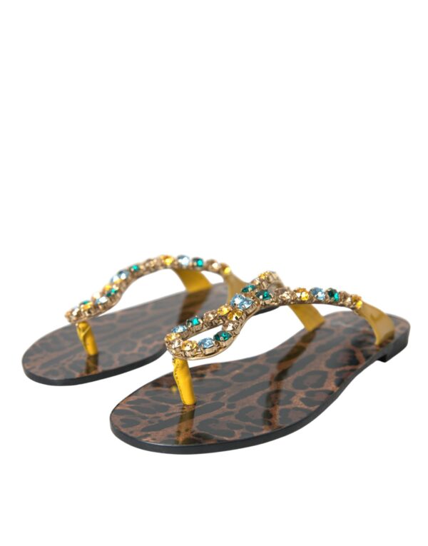 Dolce & Gabbana Mustard Crystal Calf Leather Beachwear Shoes - Image 3