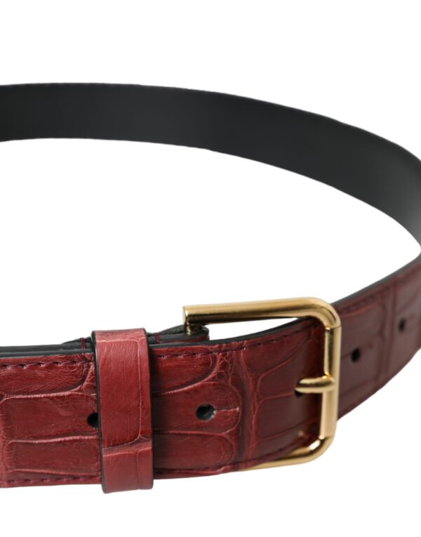 Dolce & Gabbana Brown Alligator Leather Studded Metal Buckle Belt - Image 3