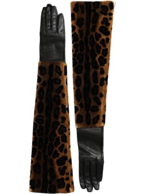Dolce & Gabbana Brown Black Leopard Leather Elbow Length Gloves