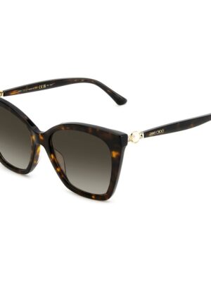 Jimmy Choo Brown Acetate Sunglasses