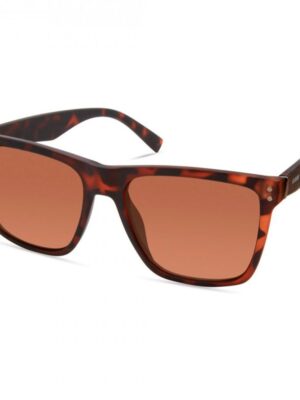 Guess Brown Resin Sunglasses