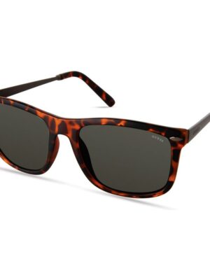 Guess Brown Resin Sunglasses