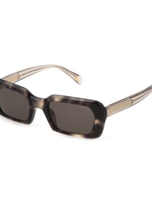 Police Brown Acetate Sunglasses