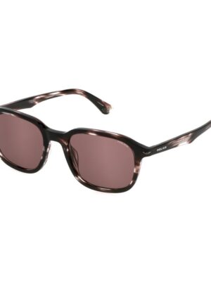 Police Brown Acetate Sunglasses