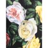Dolce & Gabbana Rose and peony print Shirt - Image 3