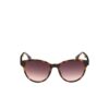 Lacoste Brown Injected Sunglasses - Image 2