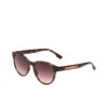 Lacoste Brown Injected Sunglasses - Image 3