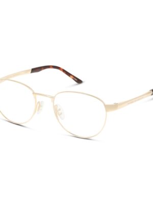 Porsche Gold Metal Frames