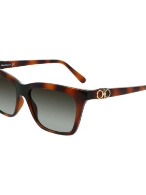 Ferragamo Brown Injected Sunglasses