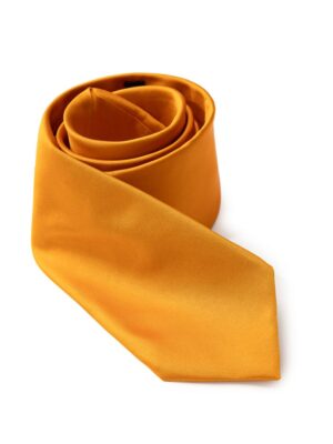 Dolce & Gabbana Orange Silk Ties & Bowty