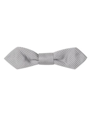 Dolce & Gabbana Gray Silk Ties & Bowty