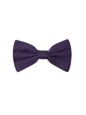 Dolce & Gabbana Purple Silk Ties & Bowty