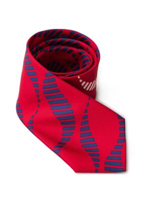Giorgio Armani Red Silk Ties & Bowty