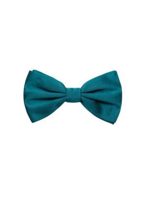 Dolce & Gabbana Green Silk Ties & Bowty