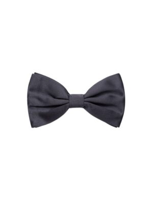Dolce & Gabbana Brown Silk Ties & Bowty