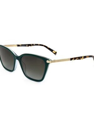 Levi's Brown Resin Sunglasses