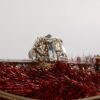Dolce & Gabbana Red Gold Chain VANDA Tinsel Crystals Evening Clutch Bag - Image 6