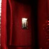 Dolce & Gabbana Red Gold Chain VANDA Tinsel Crystals Evening Clutch Bag - Image 8