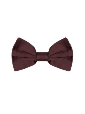 Dolce & Gabbana Burgundy Silk Ties & Bowty