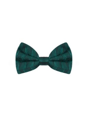 Dolce & Gabbana Green Silk Ties & Bowty