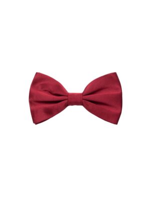 Dolce & Gabbana Red Silk Ties & Bowty