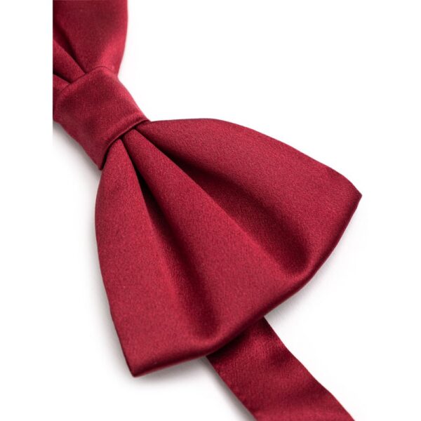 Dolce & Gabbana Red Silk Ties & Bowty - Image 2