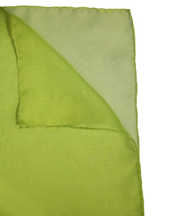 Dolce & Gabbana Green Silk Rectangle Wrap Shawl Neck Warmer Scarf - Image 4
