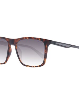 Police Brown Men Sunglasses