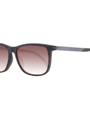 Police Brown Men Sunglasses